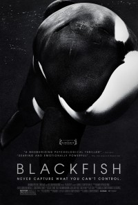 Xem phim Cá đen - Blackfish (2013)