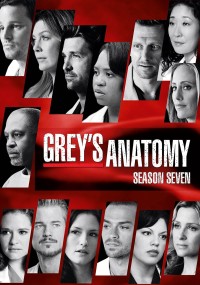 Xem phim Ca Phẫu Thuật Của Grey (Phần 7) - Grey's Anatomy (Season 7) (2010)