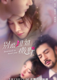 Xem phim Đừng Nhờn Với Chị - Destined to Meet You (2022)