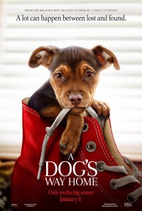 Xem phim Đường Về Nhà Của Cún Con - A Dog's Way Home (2019)