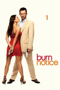 Xem phim Lệnh Thanh Trừng (Phần 1) - Burn Notice (Season 1) (2007)